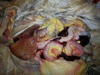 20180413_154355.jpg