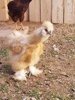 20180414_162820.jpg