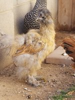 20180414_162754.jpg
