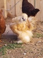 20180414_162734.jpg