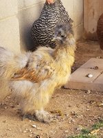 20180414_162731.jpg