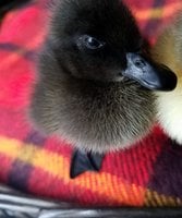 20180414_114118.jpg