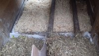 20180414_190958.jpg