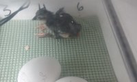 20180415_065949.jpg