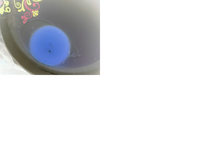 invert yolk.png