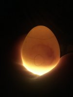 B8D31F99-5B0C-44AD-9571-011DBD993669.jpeg