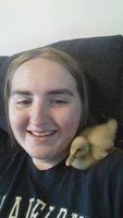 Baby duck on shoulder .jpg