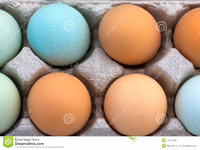multi colored egg picture.jpg