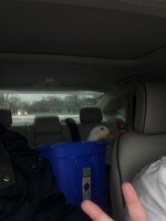 398F9A0C-0F58-4CE3-BB6F-27F15029BAEA.jpeg