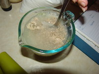 DSC00043.JPG