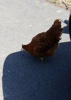 20180413_135137.jpg
