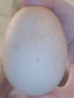 WIN_20180416_185810.JPG