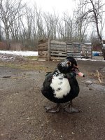 20180417_092645.jpg
