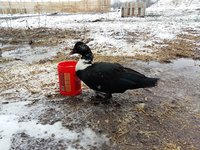 20180417_091903.jpg