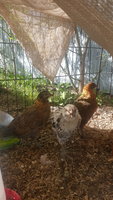 20180416_163929.jpg