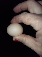 20180416_211341.jpg