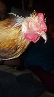 20180417_223647.jpg
