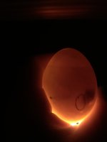 75BA0583-8A55-464B-AB1C-0C2C611B63A0.jpeg