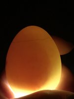 081FA055-2F2B-4469-8946-1FBDD3835D88.jpeg