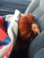 20180416_070355.jpg