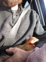 20180416_071205.jpg