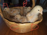 20180418_114339.jpg