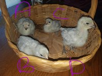 20180418_114456.jpg