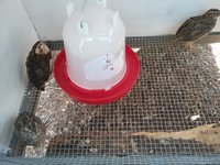 20180418_131223.jpg