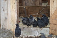 DSC_0039.JPG