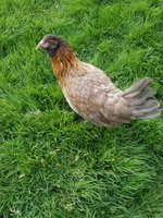 20180418_185936.jpg