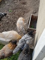 20180418_185906.jpg