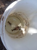 20180414_123711.jpg
