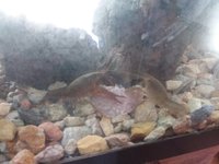 20180414_124018.jpg