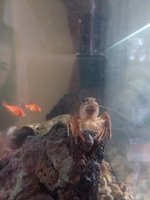 20180414_164951.jpg