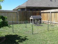 IMG_0035.JPG