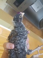 20180419_125837.jpg