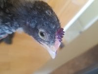 20180419_125841.jpg