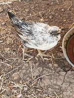 20180419_195307.jpg
