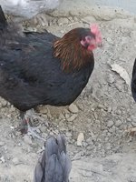 20180419_181036.jpg