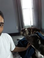 20180407_114633.jpg