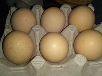 IMG_20180404_214755070.jpg