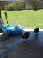 IMG_0062.JPG