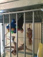 iphone pics 001.JPG