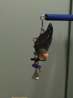 iphone pics 255.JPG