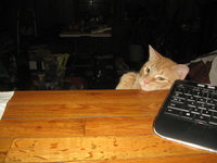IMG_3766.JPG