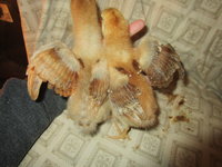 IMG_5928.JPG