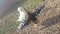 20180421_094436.jpg