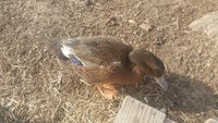 20180421_094423.jpg