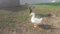 20180421_094442.jpg