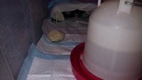 IMG_20180421_105242746.jpg